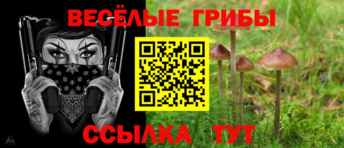 Галлюциногенные грибы MAGIC MUSHROOMS  Вход с VPN  магазин продажи наркотиков  Малгобек  Галлюциногенные грибы Psilocybine cubensis 